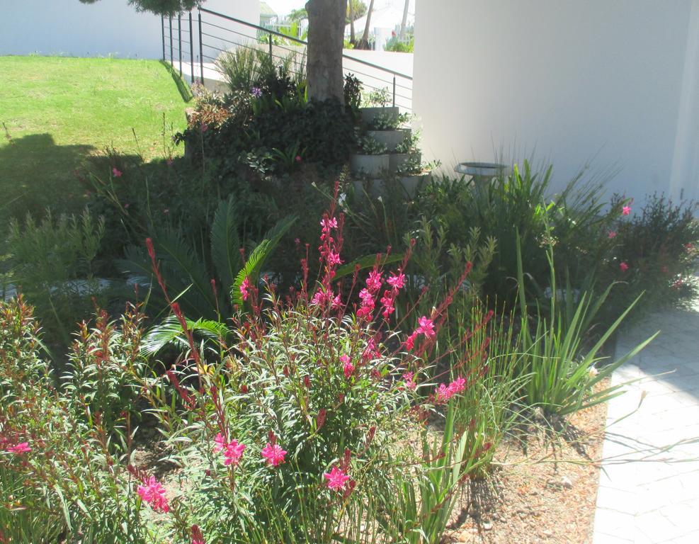 Westhill Luxury Guest House Knysna Buitenkant foto