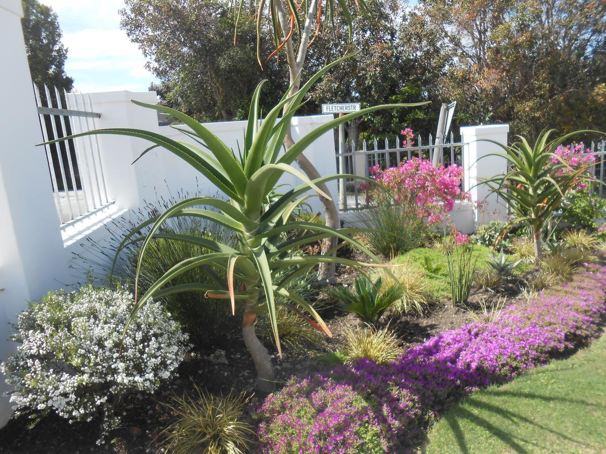 Westhill Luxury Guest House Knysna Buitenkant foto